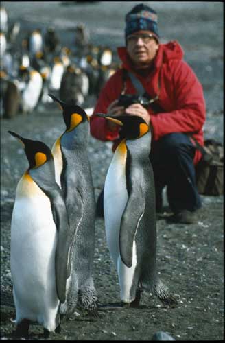 Vitus in der Antarktis mit Adeli Pinguinen